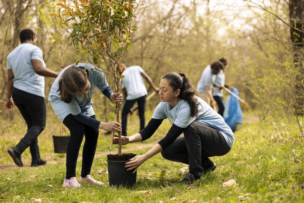 National Foresting Strategy Ideas to Be Tested in 6 Parks