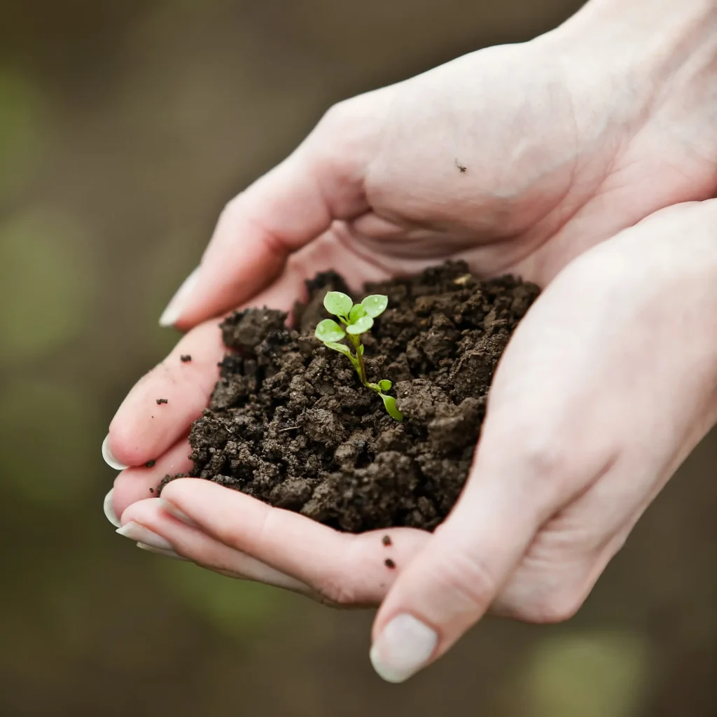 Our Land. Our Climate. Our Future