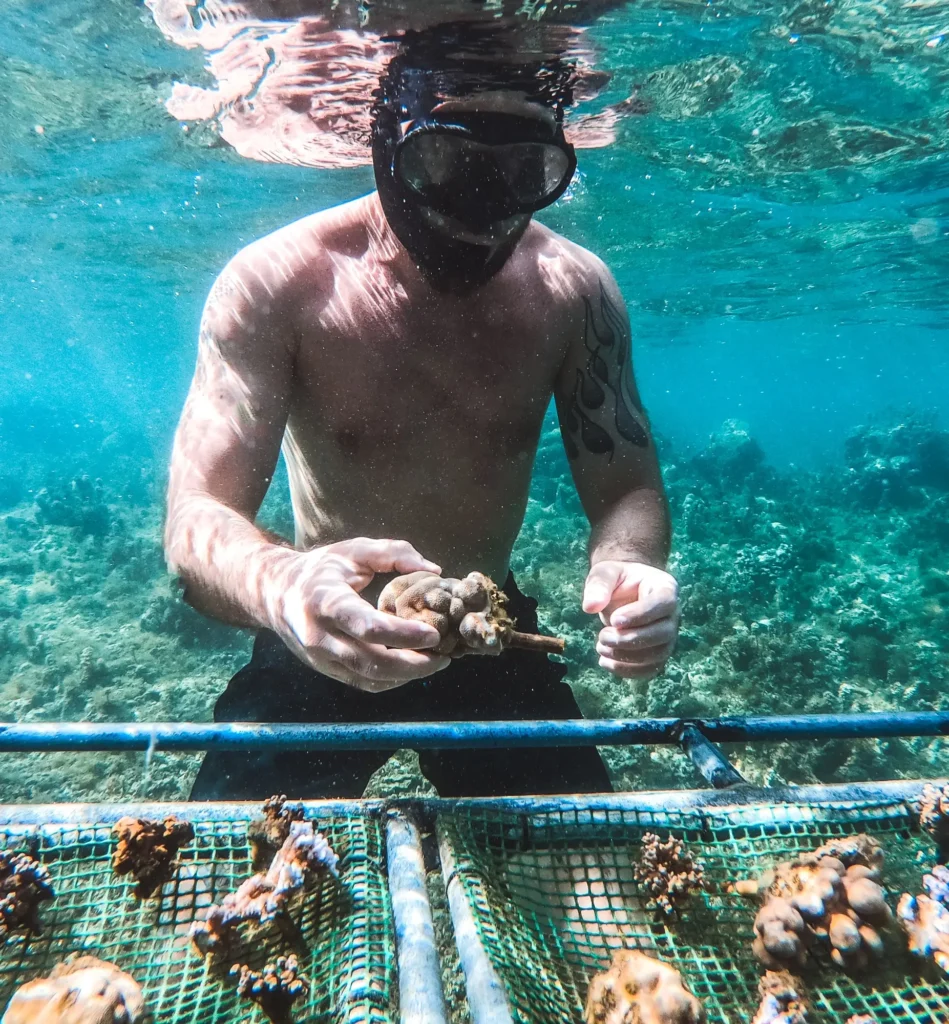 Global Warming’s Evil Twin: Ocean Acidification